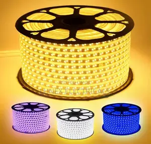 Double Row Lamp High Voltage LED Flexible Strip Light Snake Lights