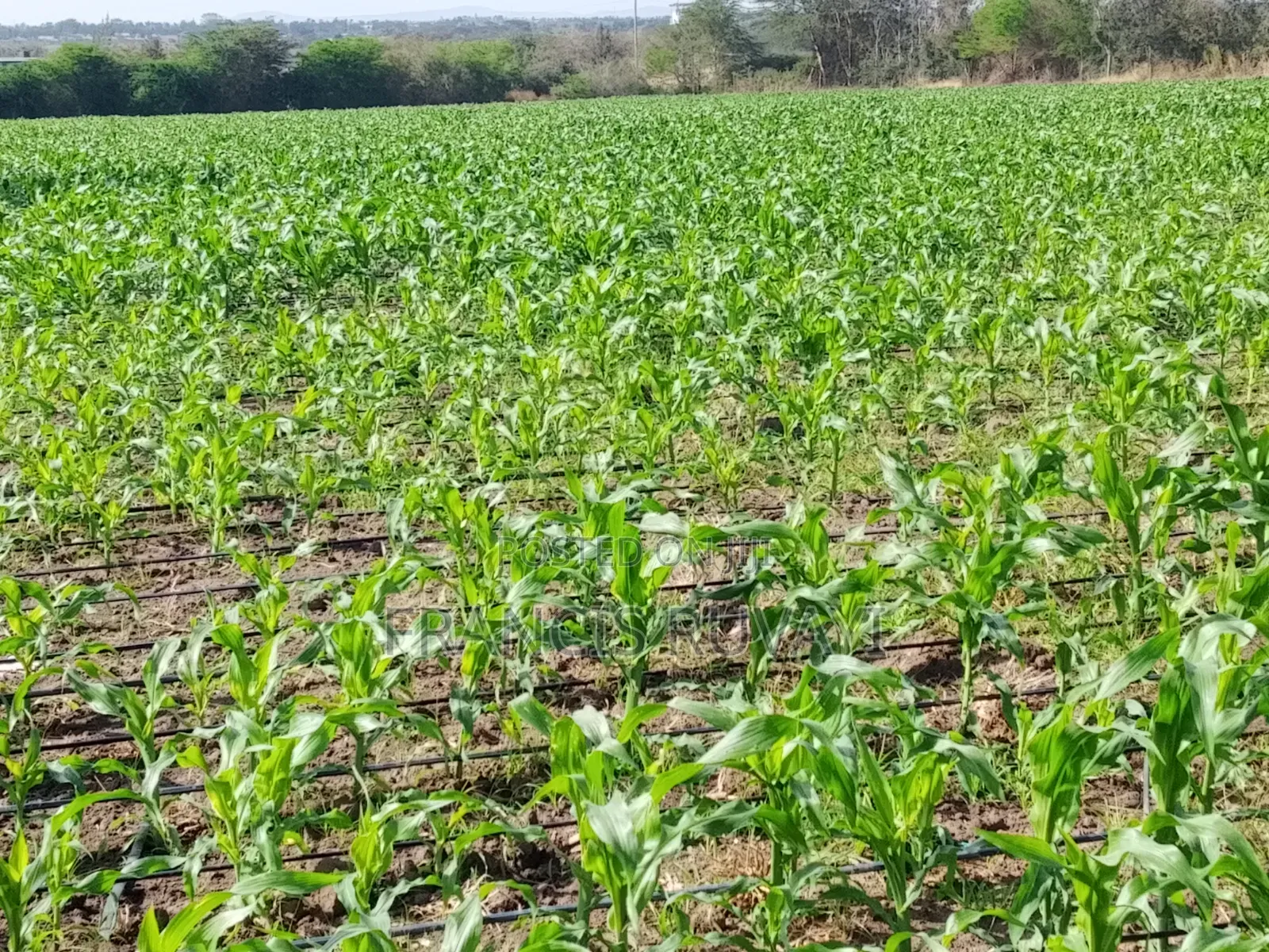 20acres of Land in Kisaju for Sell