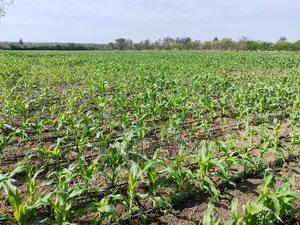 20acres of Land in Kisaju for Sell