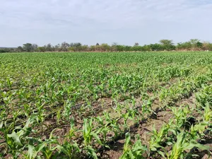 20acres of Land in Kisaju for Sell