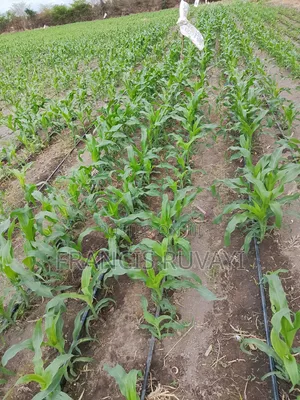 20acres of Land in Kisaju for Sell