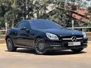Mercedes-Benz SLK-Class SLK250 2dr Convertible (1.8L 4cyl Turbo 7A)