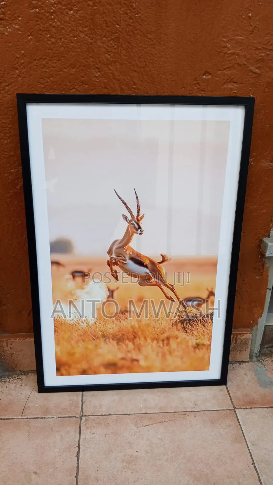 Picture Frames