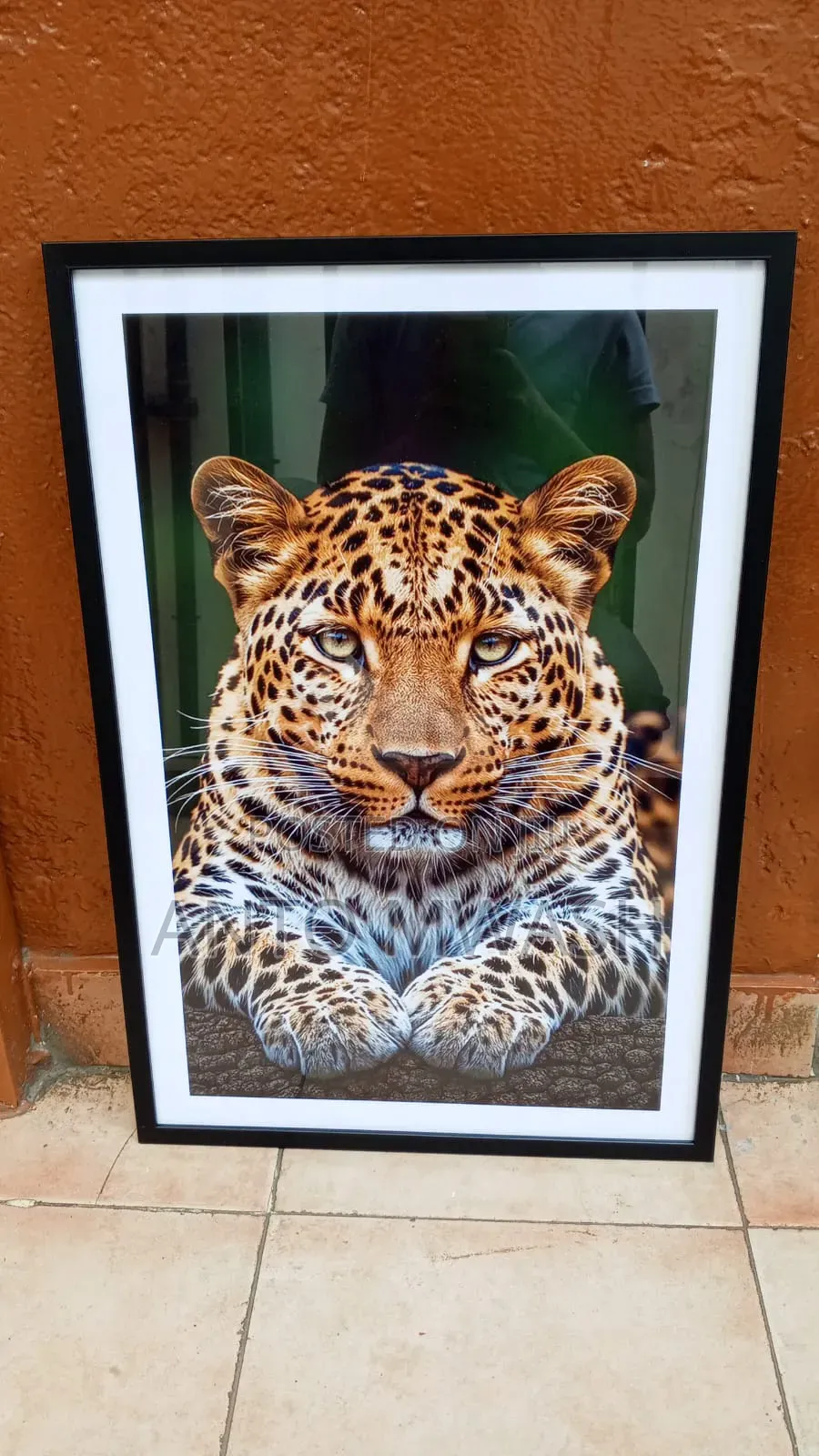 Picture Frames