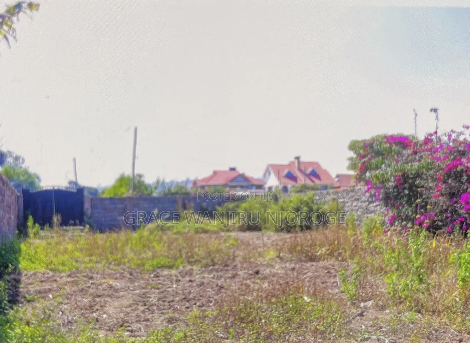 50 by 100 Land