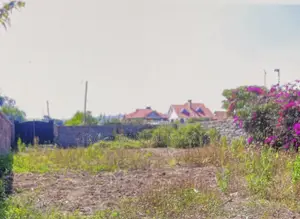 50 by 100 Land