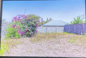 50 by 100 Land