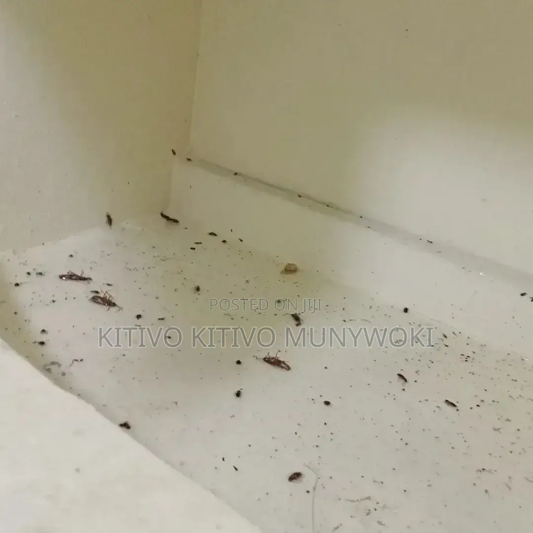 Guaranteed Fumigation Results.