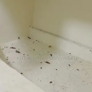 Guaranteed Fumigation Results.