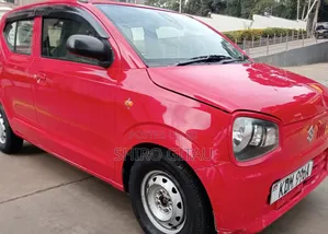 Suzuki Alto 2018 Red