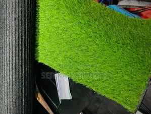Wall Grass Carpets Grass Carpets Environmental Friendly Robertson's