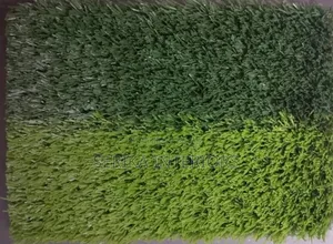 Two Colors Grass Carpets Grass Carpets Environmental Friendly Justice
