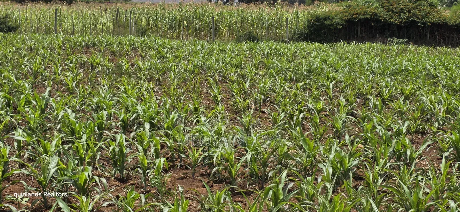 Prime 15 Acres Land for Sale in Kitengela
