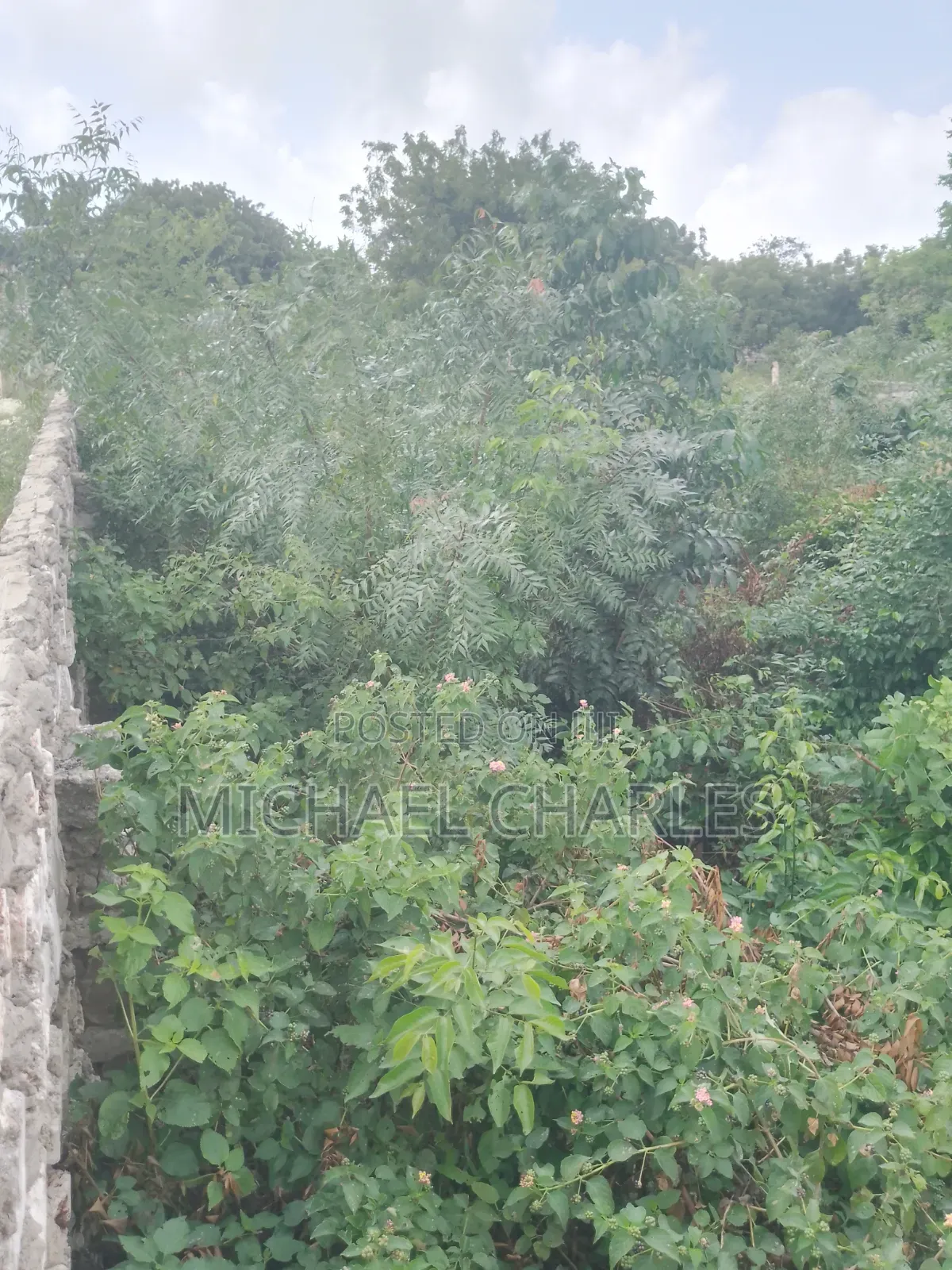 Plot for Sale