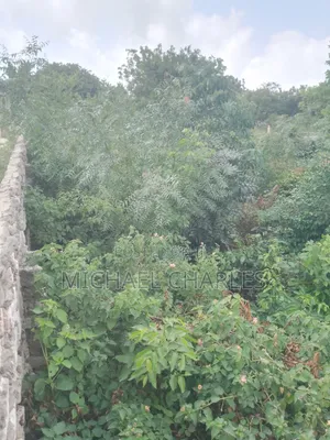 Plot for Sale