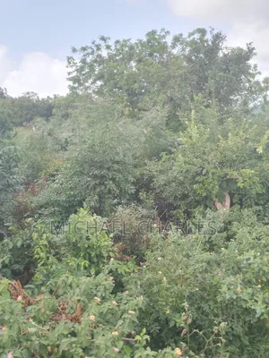 Plot for Sale