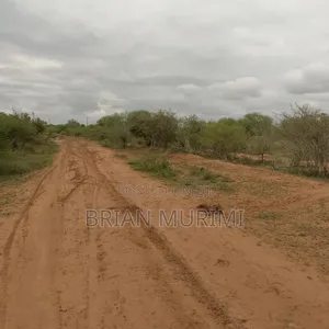 Ganze Malindi 300 Acres