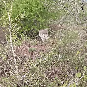 Ganze Malindi 300 Acres