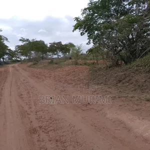 Ganze Malindi 300 Acres