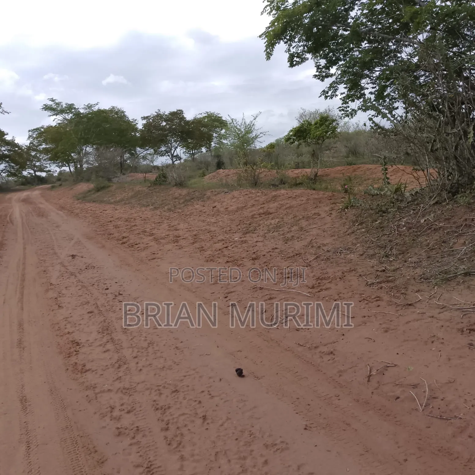 Ganze Malindi 300 Acres