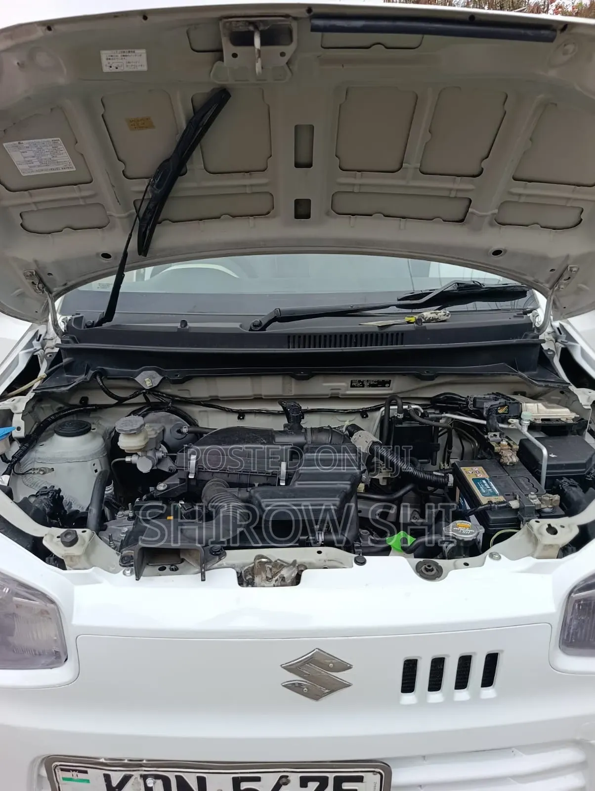 Suzuki Alto 2016 White