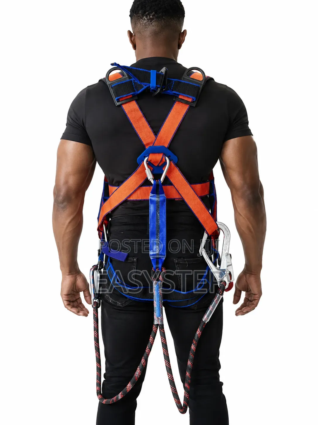 Full Body Safety Harness With Backing Support