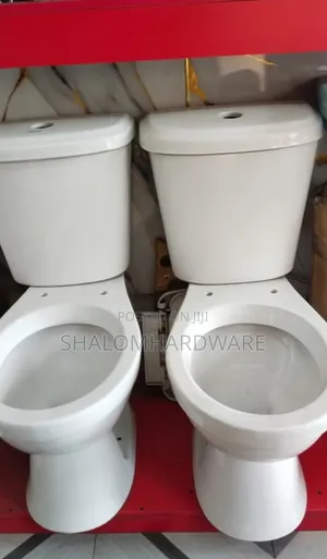 Water Closet Toilet