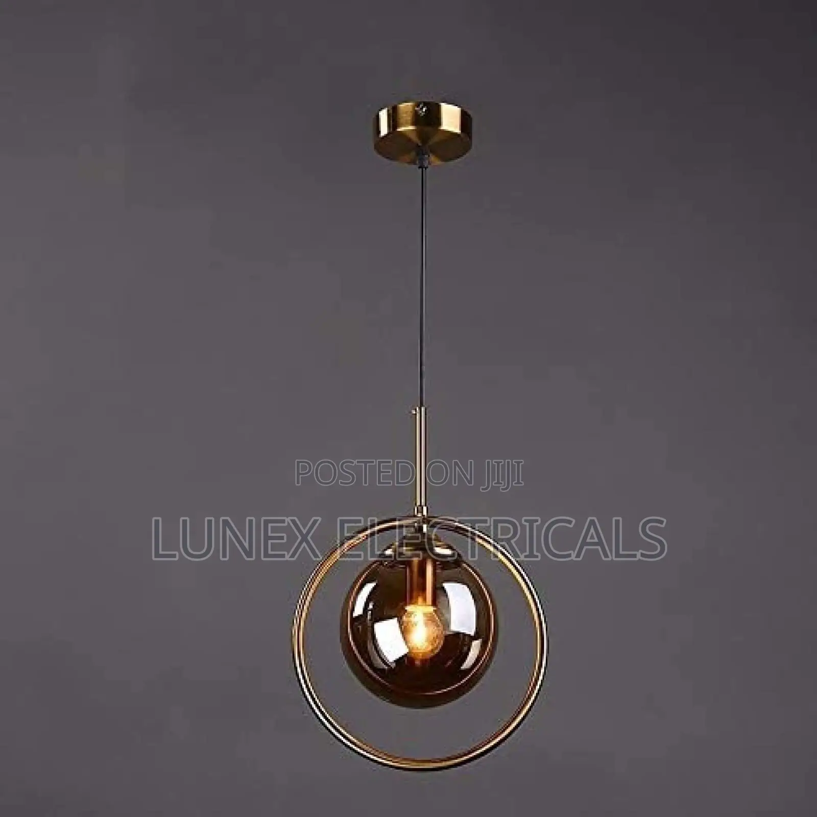 Indoor Ceiling Lamps Modern Led Ring Pendant Light