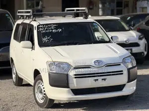 Toyota Succeed 2019 Pearl