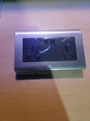 Dual Switch and Socket