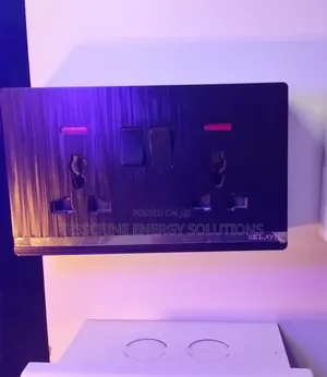 Dual Switch and Socket