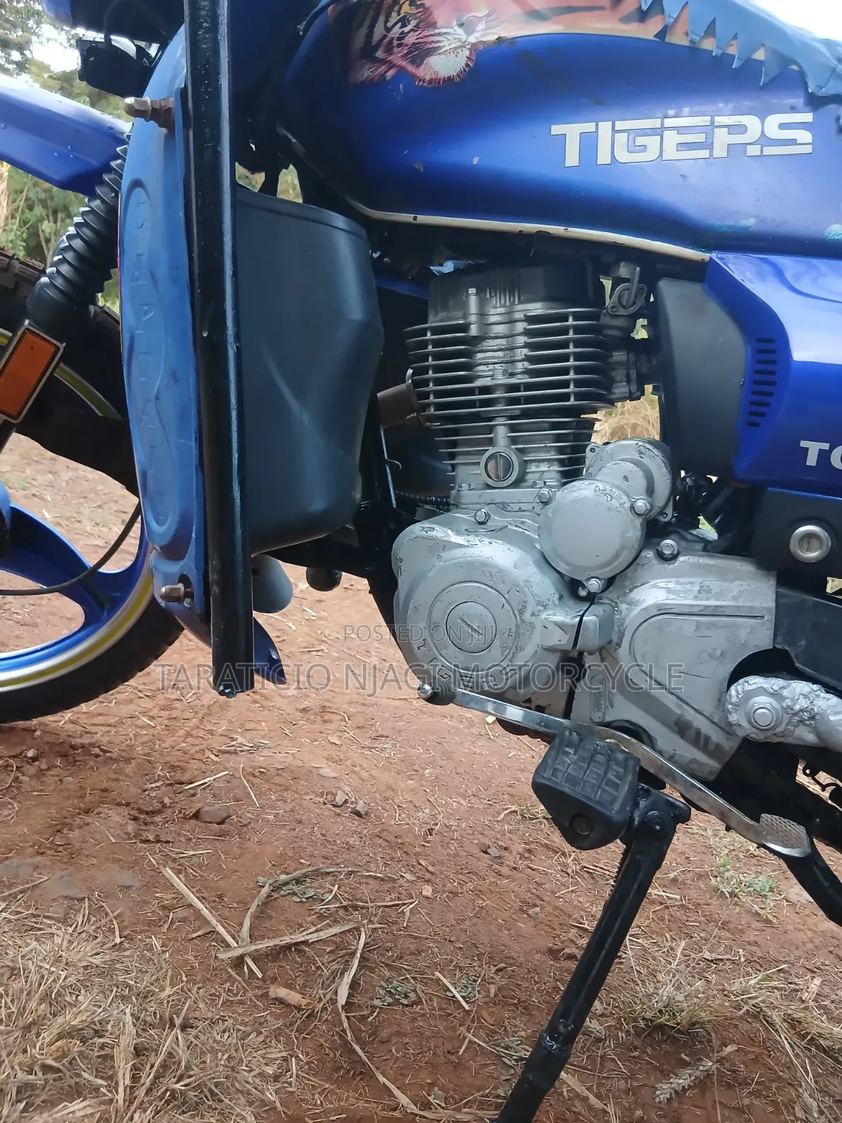 Captain CP150-10 2017 Blue