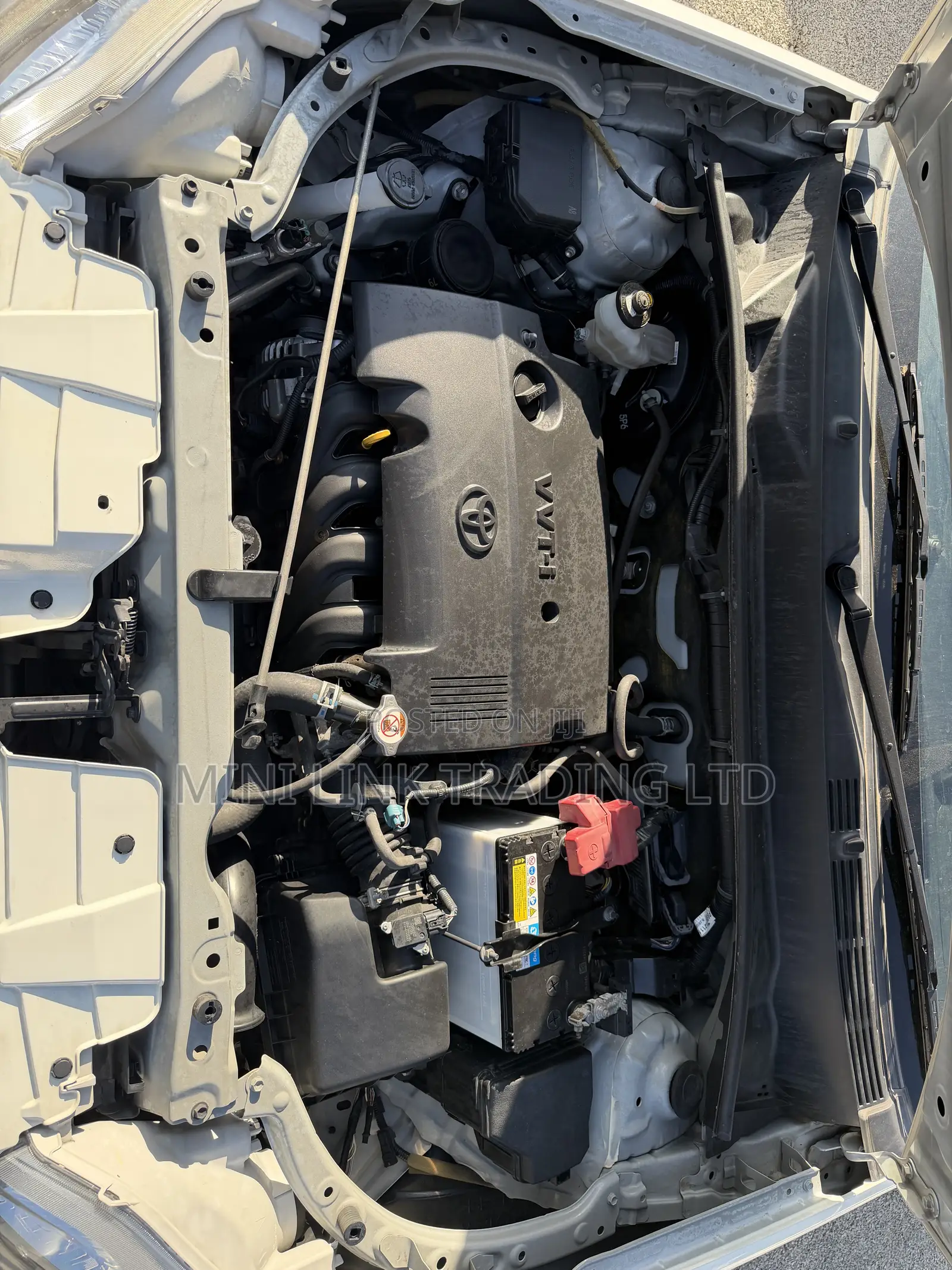 Toyota Succeed 2019 Pearl