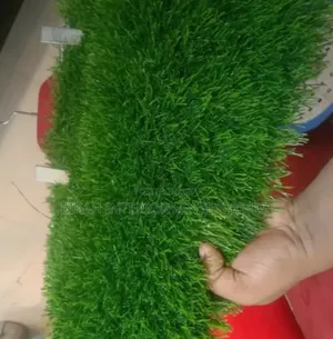 Green Grass Carpets Grass Carpets Environmental Friendly Robertson's