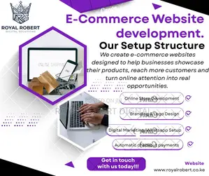 Professional Business Website Design Development