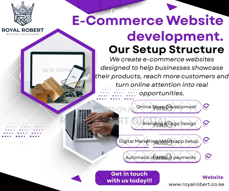 Professional Business Website Design Development