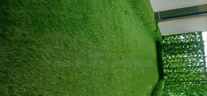 Large Balcony Grass Carpets Environmental Friendly Robertson's