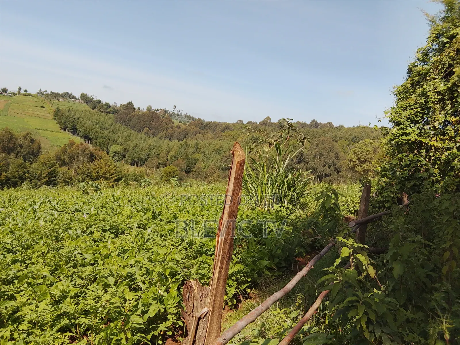 Land on Sale