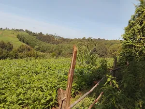 Land on Sale
