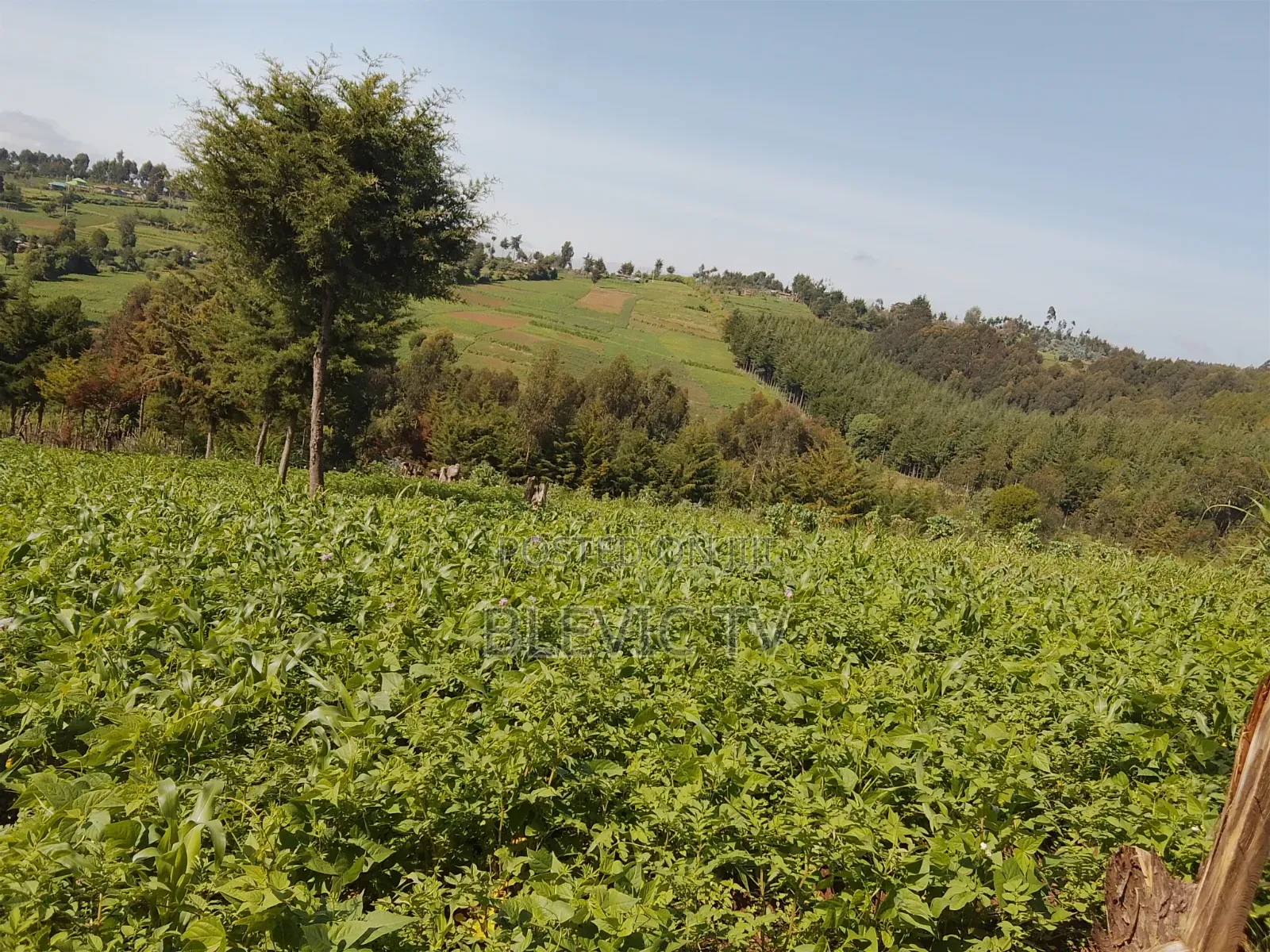 Land on Sale