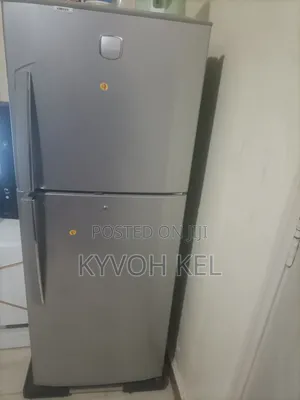 Double Door LG Fridge