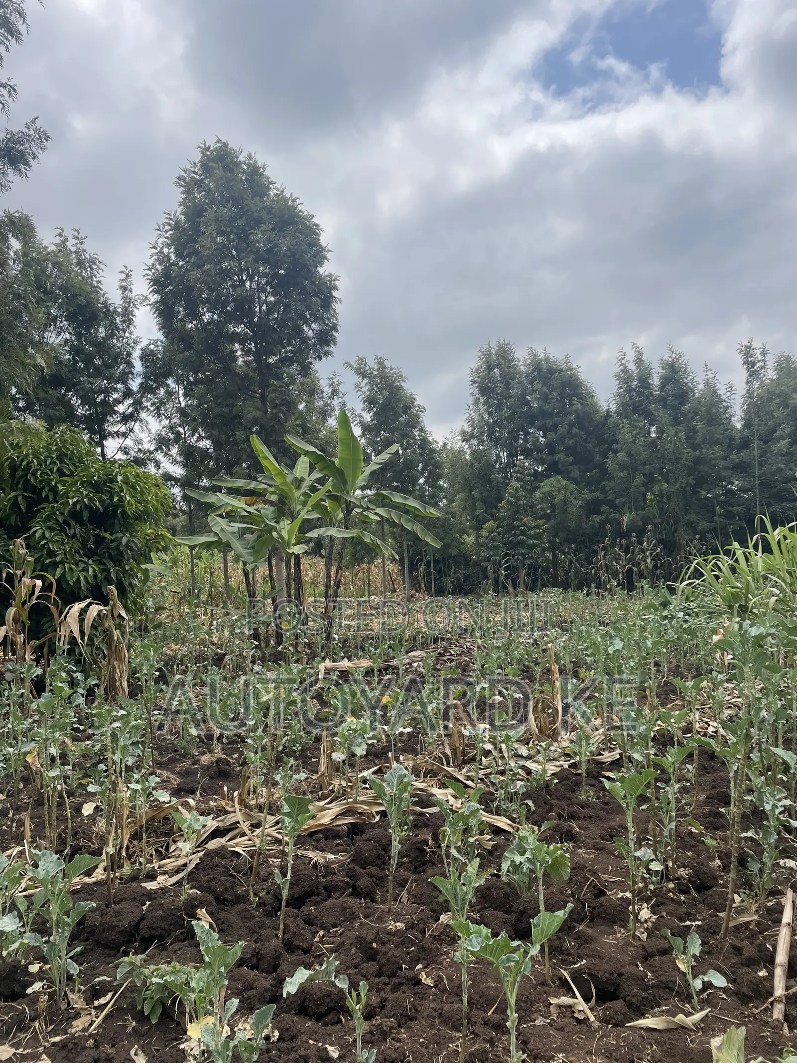 1/2 Acre of Land for Sale Ngong Town Ngere Road