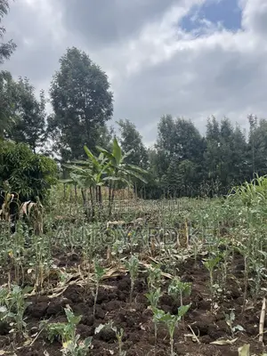 1/2 Acre of Land for Sale Ngong Town Ngere Road
