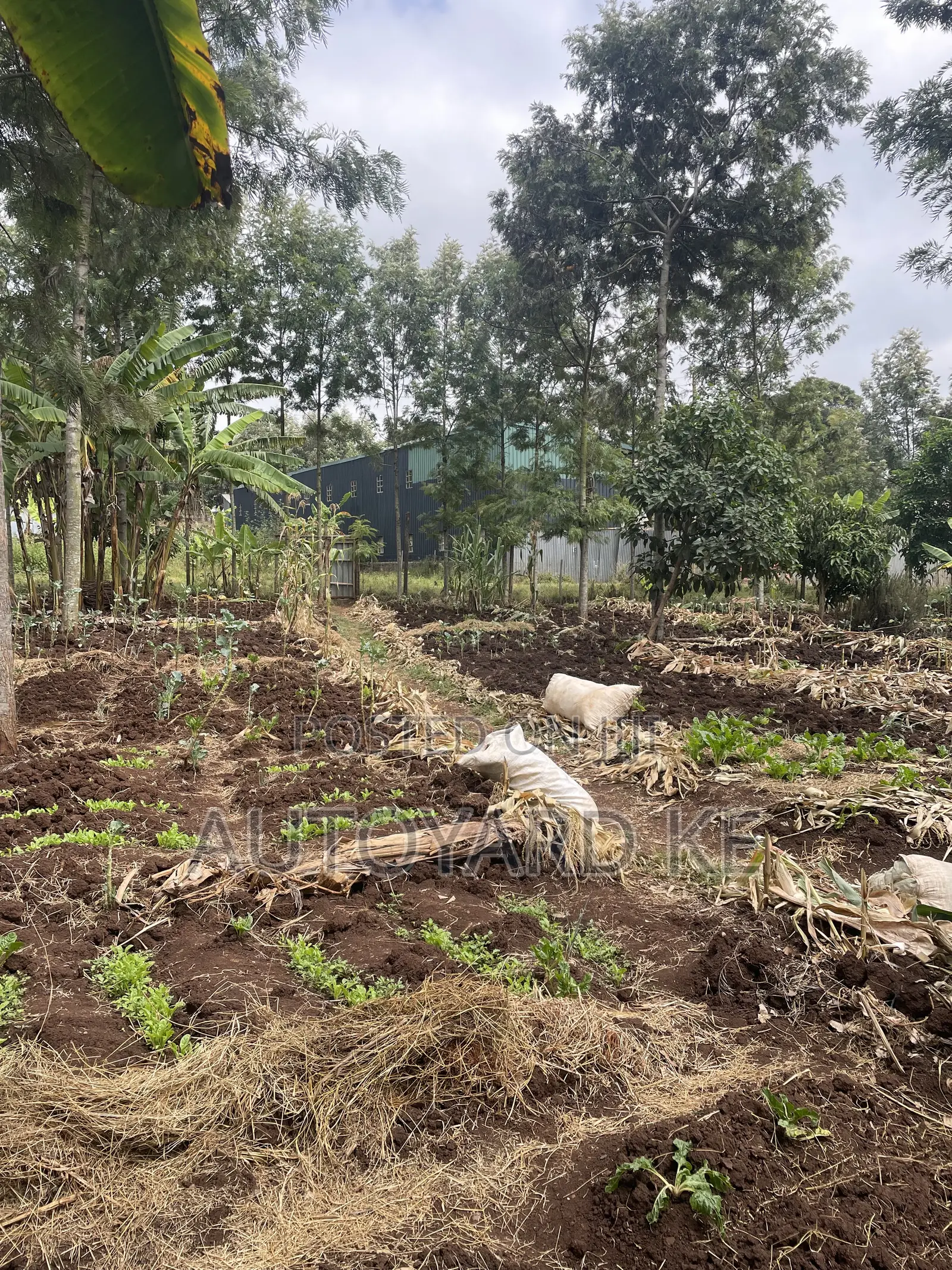 1/2 Acre of Land for Sale Ngong Town Ngere Road