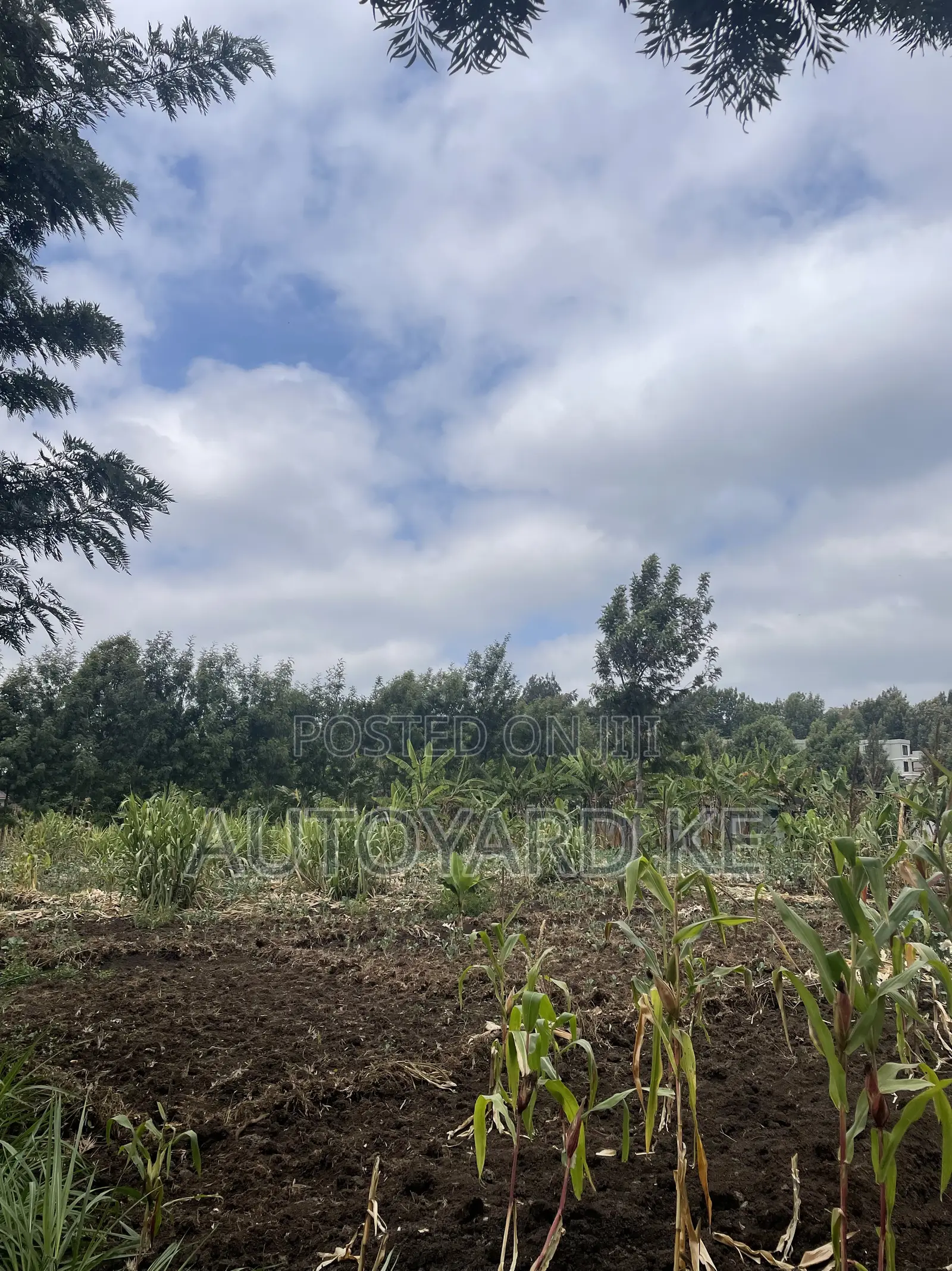 1/2 Acre of Land for Sale Ngong Town Ngere Road