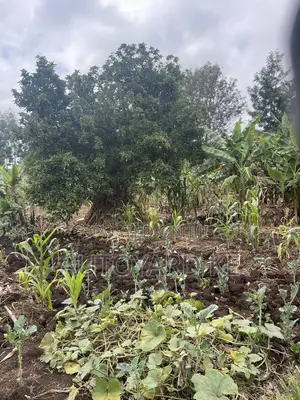 1/2 Acre of Land for Sale Ngong Town Ngere Road