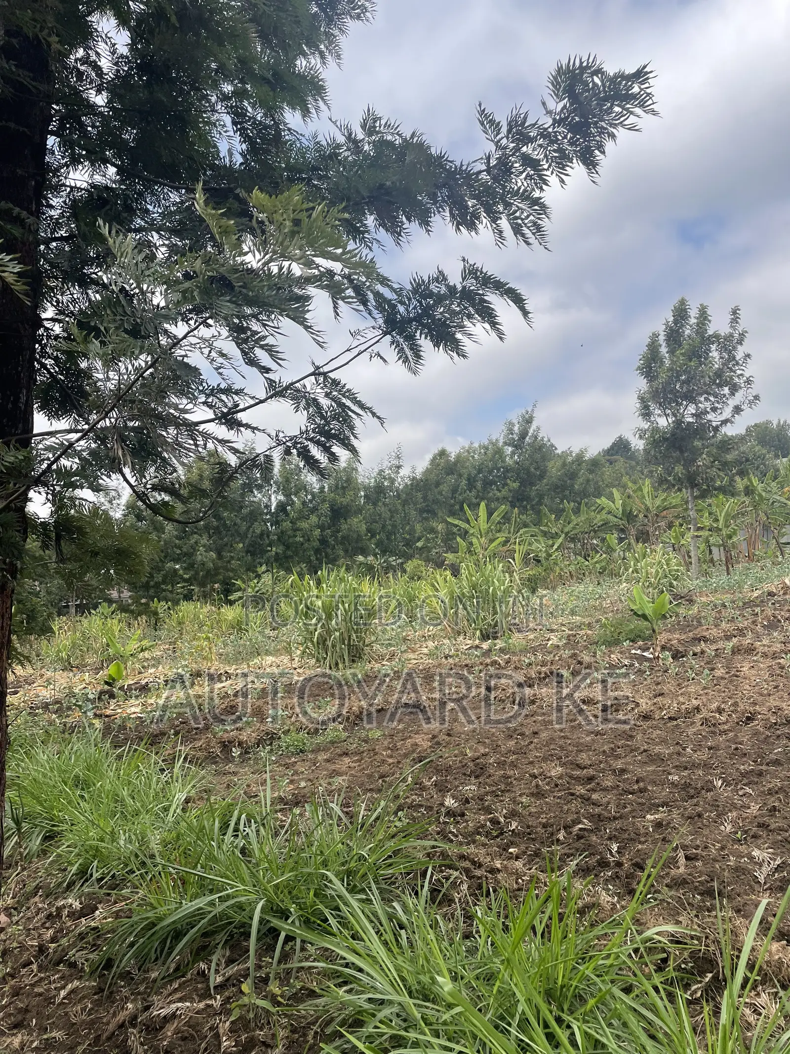 1/2 Acre of Land for Sale Ngong Town Ngere Road