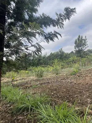 1/2 Acre of Land for Sale Ngong Town Ngere Road