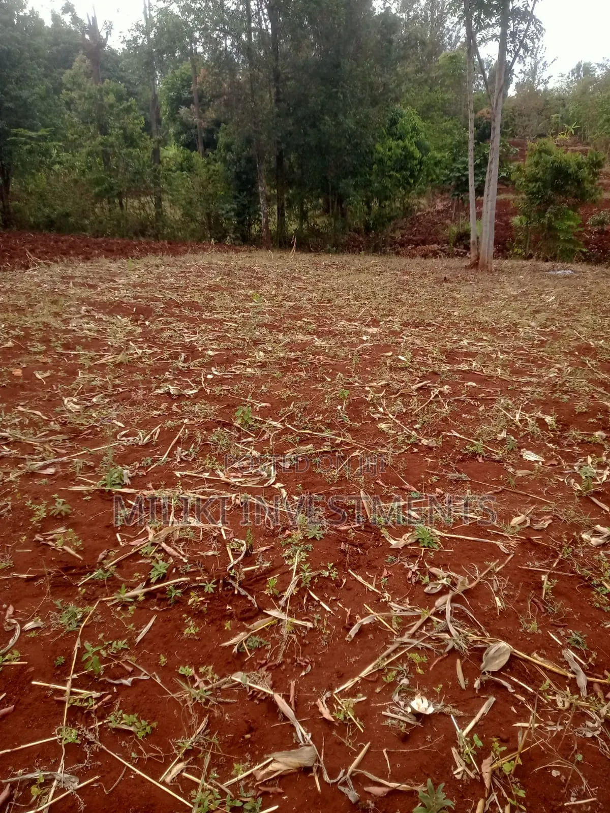 1 Acre of Land on Sale at Murang,a -Kigumo