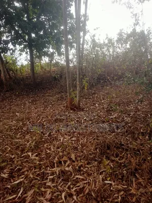 1 Acre of Land on Sale at Murang,a -Kigumo